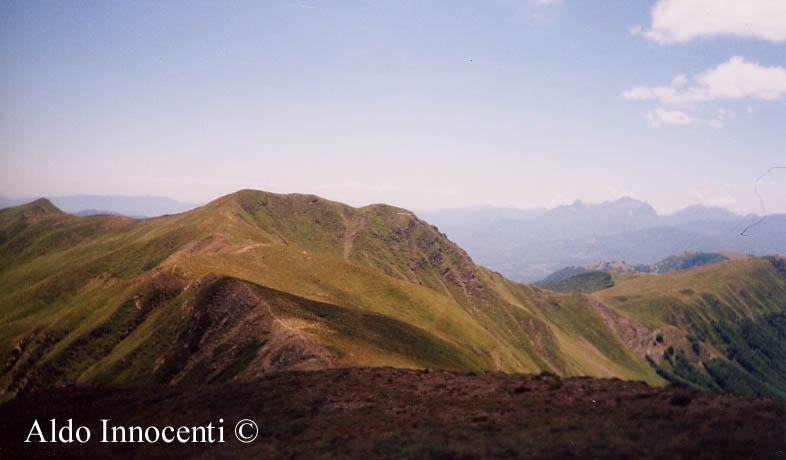 IL PRADO DAL MONTE VECCHIO